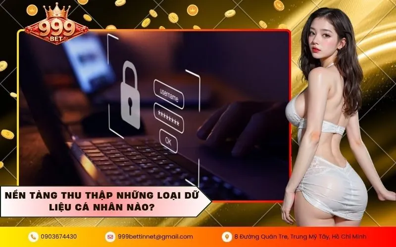 Nền tảng thu thập những loại dữ liệu cá nhân nào